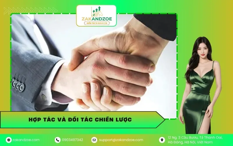 Hợp Tác Và Đối Tác Chiến Lược
